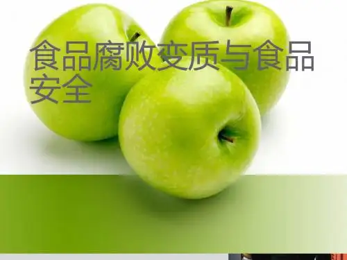 食品腐败变质与食品安全  ppt课件