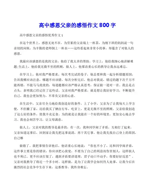 高中感恩父亲的感悟作文800字