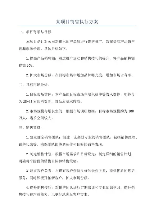 某项目销售执行方案