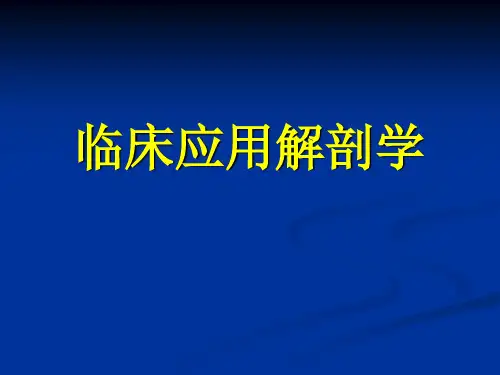 临床应用解剖学汇总