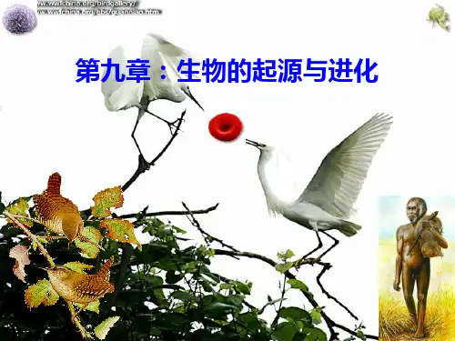 第9章：生物的起源与进化