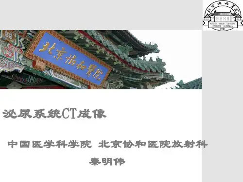 泌尿系统CT成像
