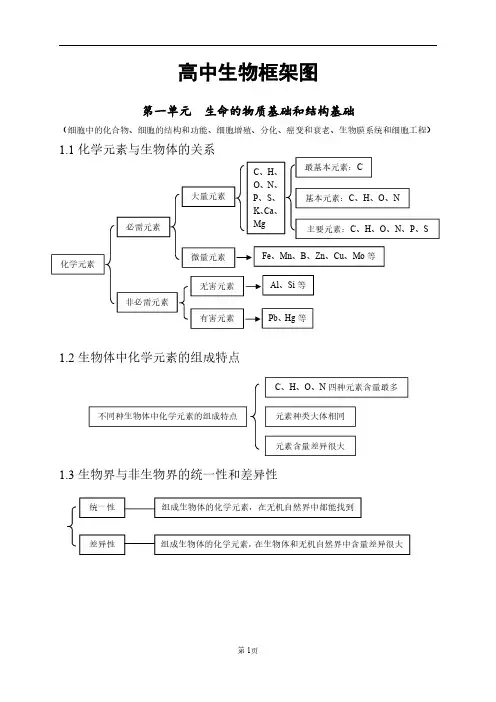 高中生物框架图(共80页)