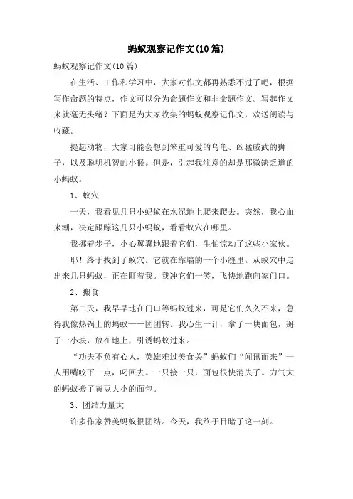 蚂蚁观察记作文(10篇)