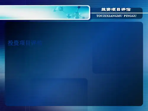 投资项目评估概述(ppt 26张)