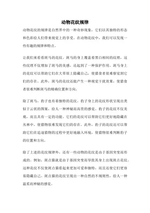 动物花纹规律