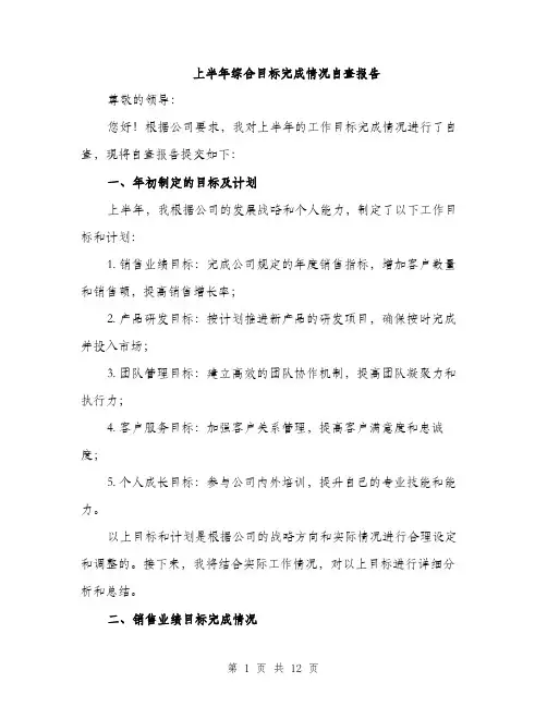 上半年综合目标完成情况自查报告(3篇)