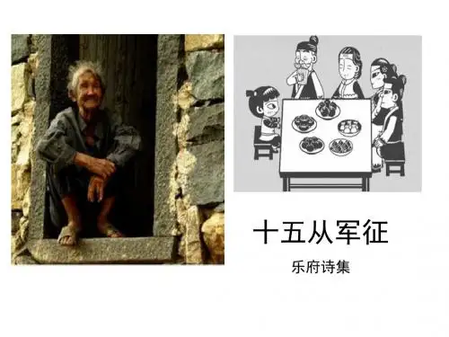 《十五从军征》ppt课件8全面版