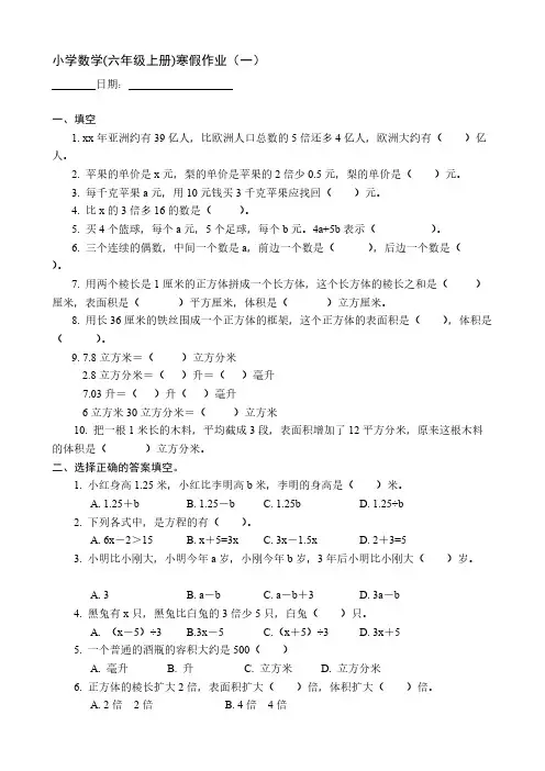 人教版小学六年级数学上册寒假专题训练作业(每天一页)