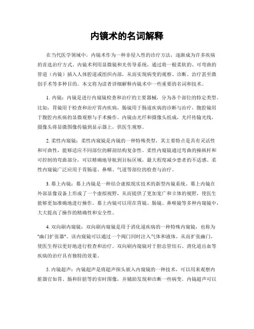 内镜术的名词解释