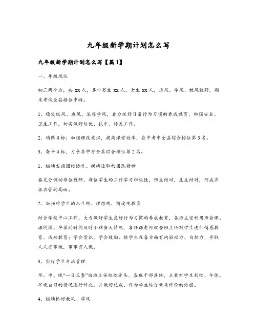 九年级新学期计划怎么写