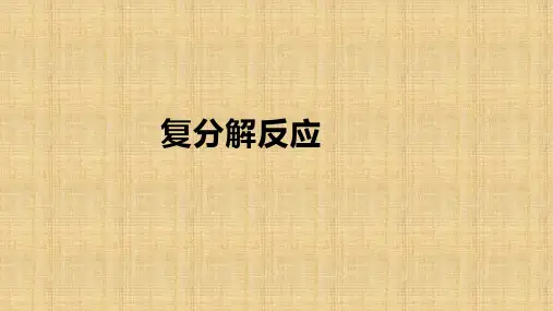备考2020中考化学专题复习——复分解反应 课件(共13张PPT)