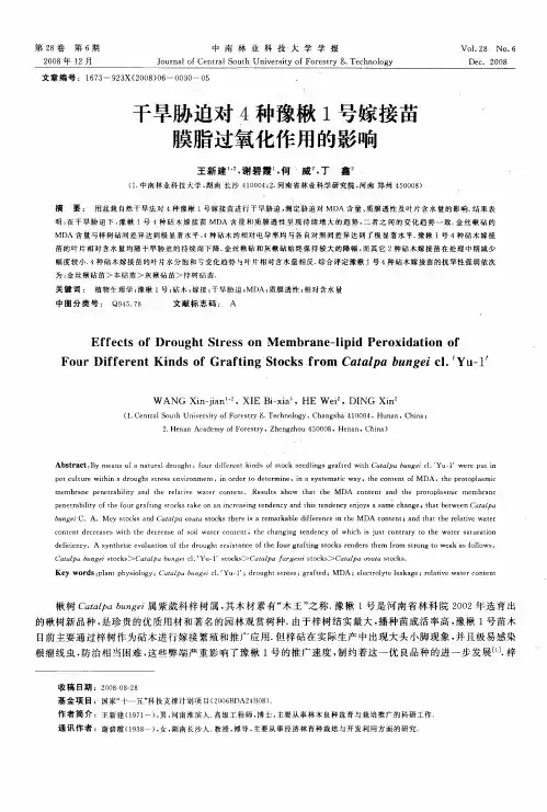 干旱胁迫对4种豫楸1号嫁接苗膜脂过氧化作用的影响