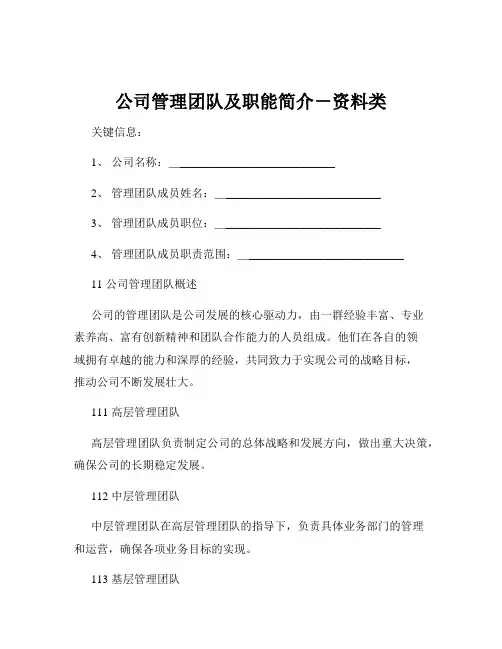 公司管理团队及职能简介-资料类