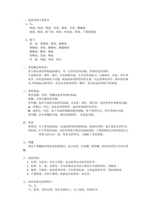 家畜解剖