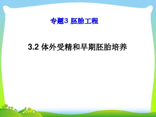 体外受精和早期胚胎培养-课件