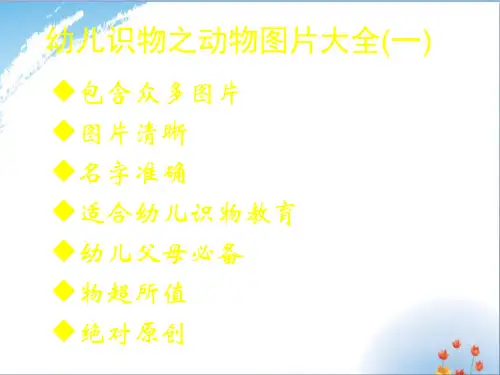 动物图片大全优秀课件PPT