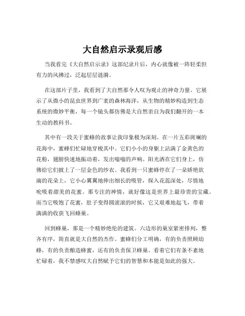 大自然启示录观后感