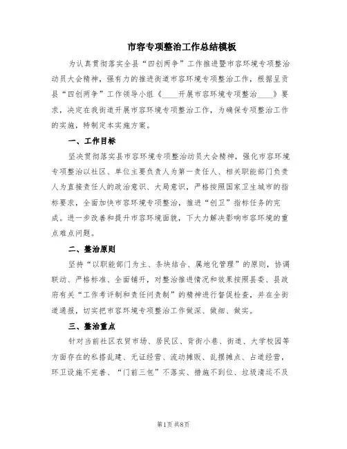 市容专项整治工作总结模板(2篇)