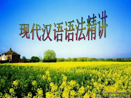 《现代汉语语法知识大全讲座》.ppt2