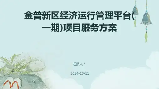 金普新区经济运行管理平台(一期)项目服务方案
