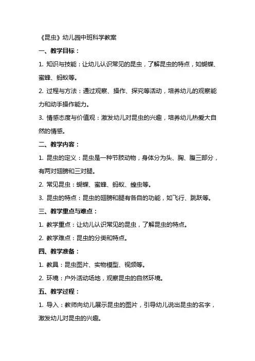 《昆虫》幼儿园中班科学教案