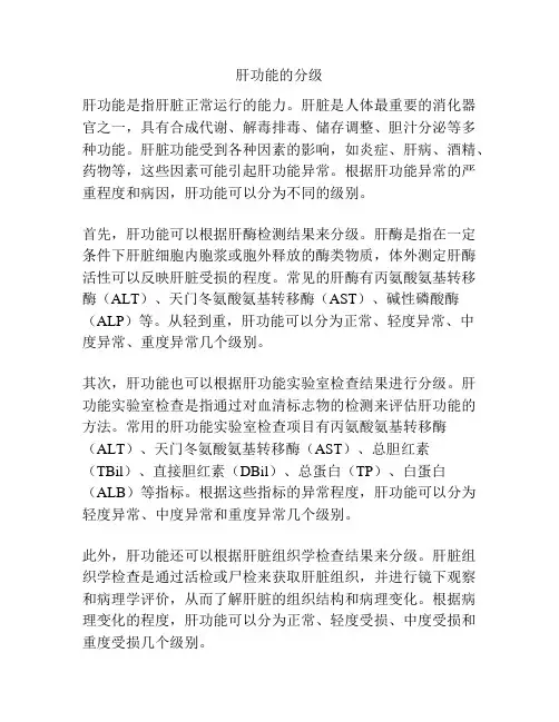 肝功能的分级