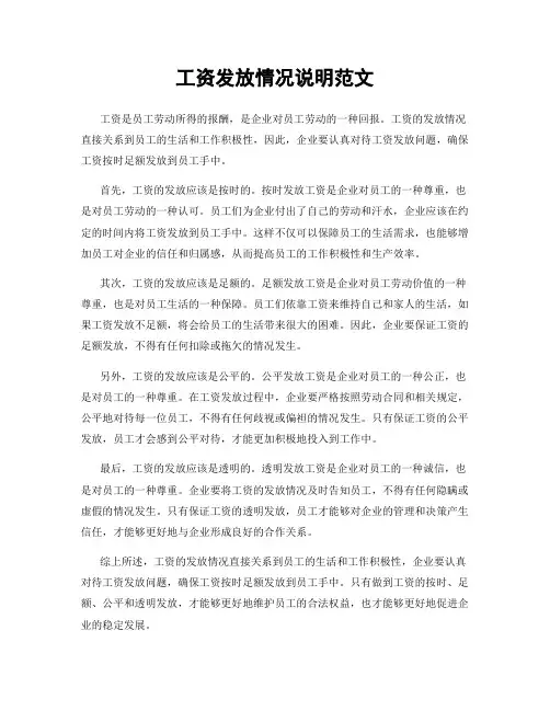 工资发放情况说明范文