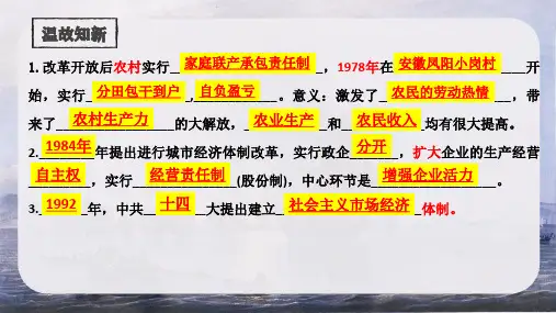 对外开放 课件 2022-2023学年部编版八年级历史下册