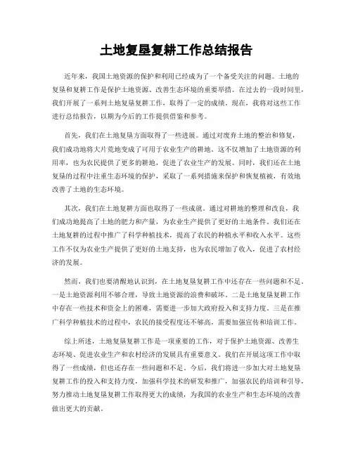 土地复垦复耕工作总结报告