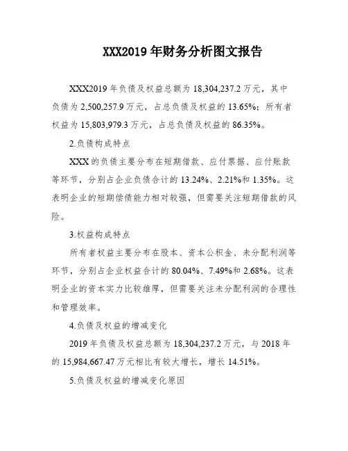 XXX2019年财务分析图文报告