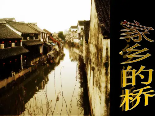 西师大版五年级语文下册《家乡的桥》课件 (4)