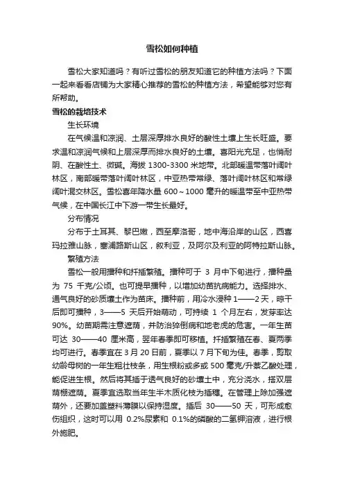 雪松如何种植