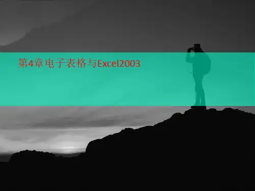 第4章电子表格与Ex讲义cel2003