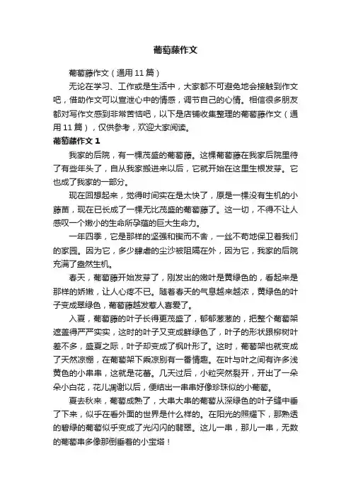 葡萄藤作文