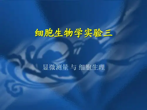 细胞学 实验三