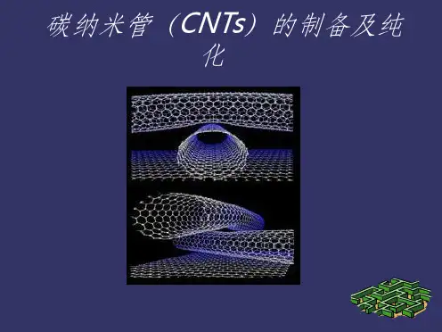 碳纳米管的制备与纯化ppt课件
