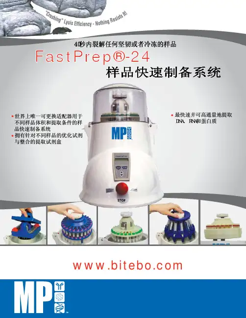 FastPrep-24样品快速处理系统