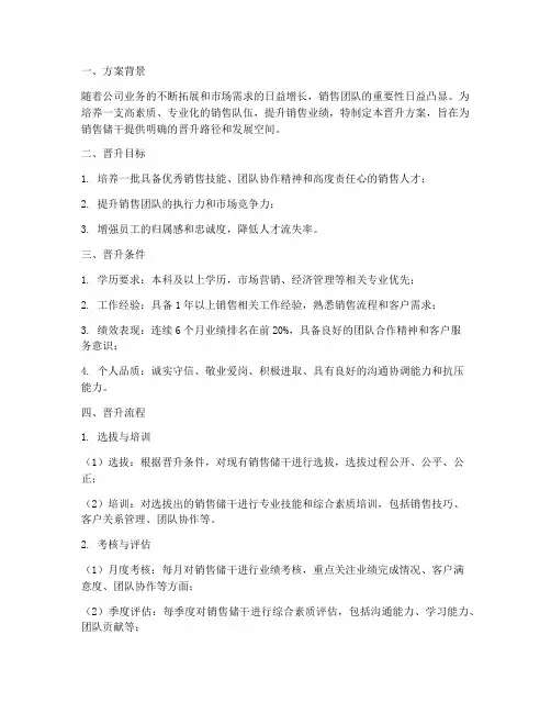 销售储干晋升方案