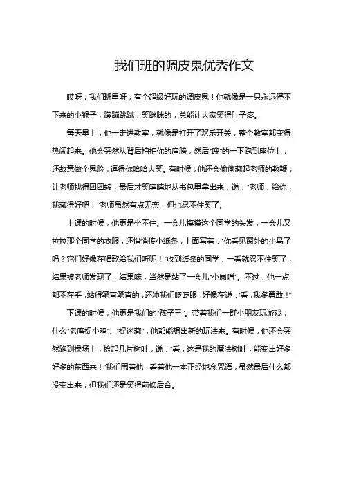 我们班的调皮鬼优秀作文