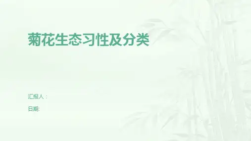 菊花生态习性及分类