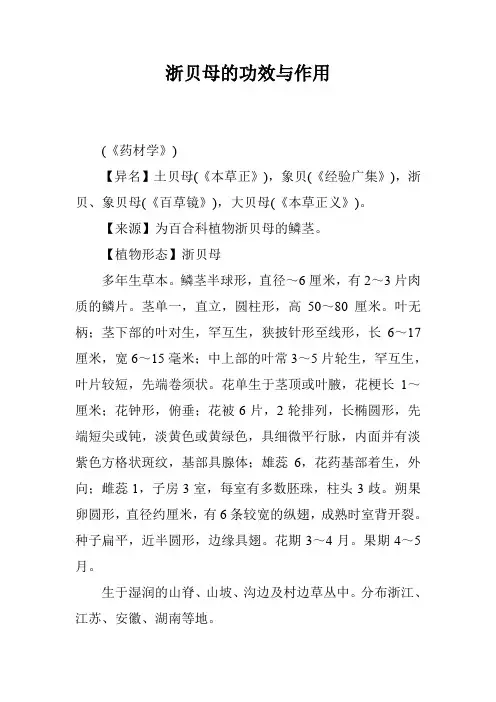 浙贝母的功效与作用