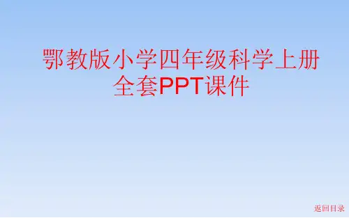 鄂教版小学四年级科学上册全套PPT课件
