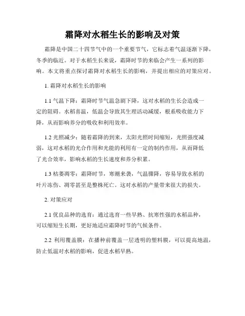 霜降对水稻生长的影响及对策