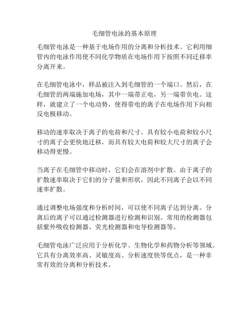 毛细管电泳的基本原理