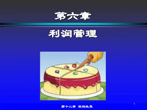 第六章 利润管理ppt课件