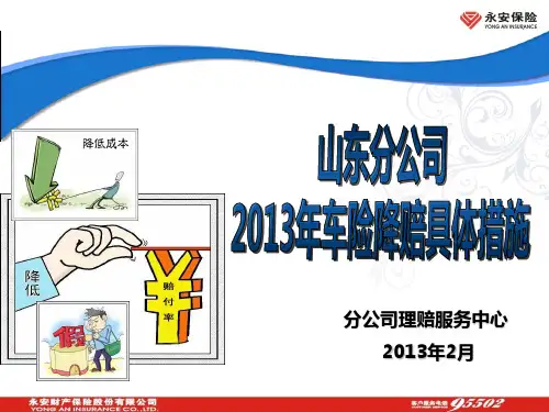 山东分公司车险降赔具体措施