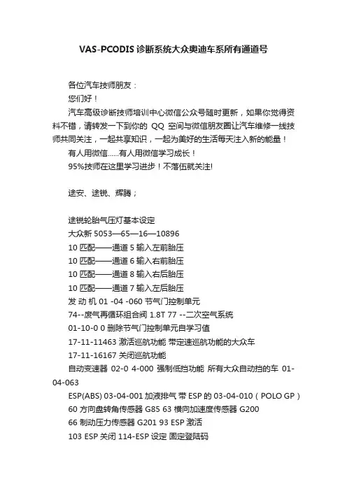 VAS-PCODIS诊断系统大众奥迪车系所有通道号