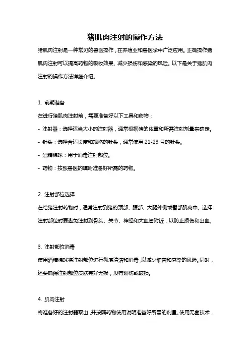 猪肌肉注射的操作方法