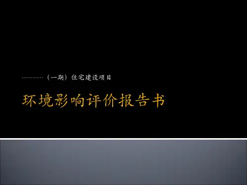 环境影响评价报告书